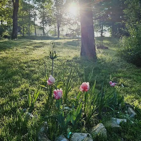 Al Giardino Toscano 3*