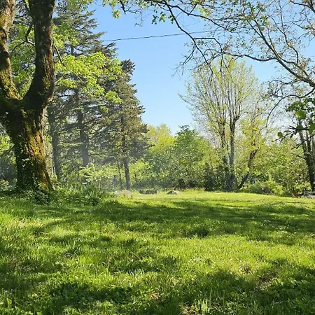 Al Giardino Toscano Πανσιόν Montecarelli